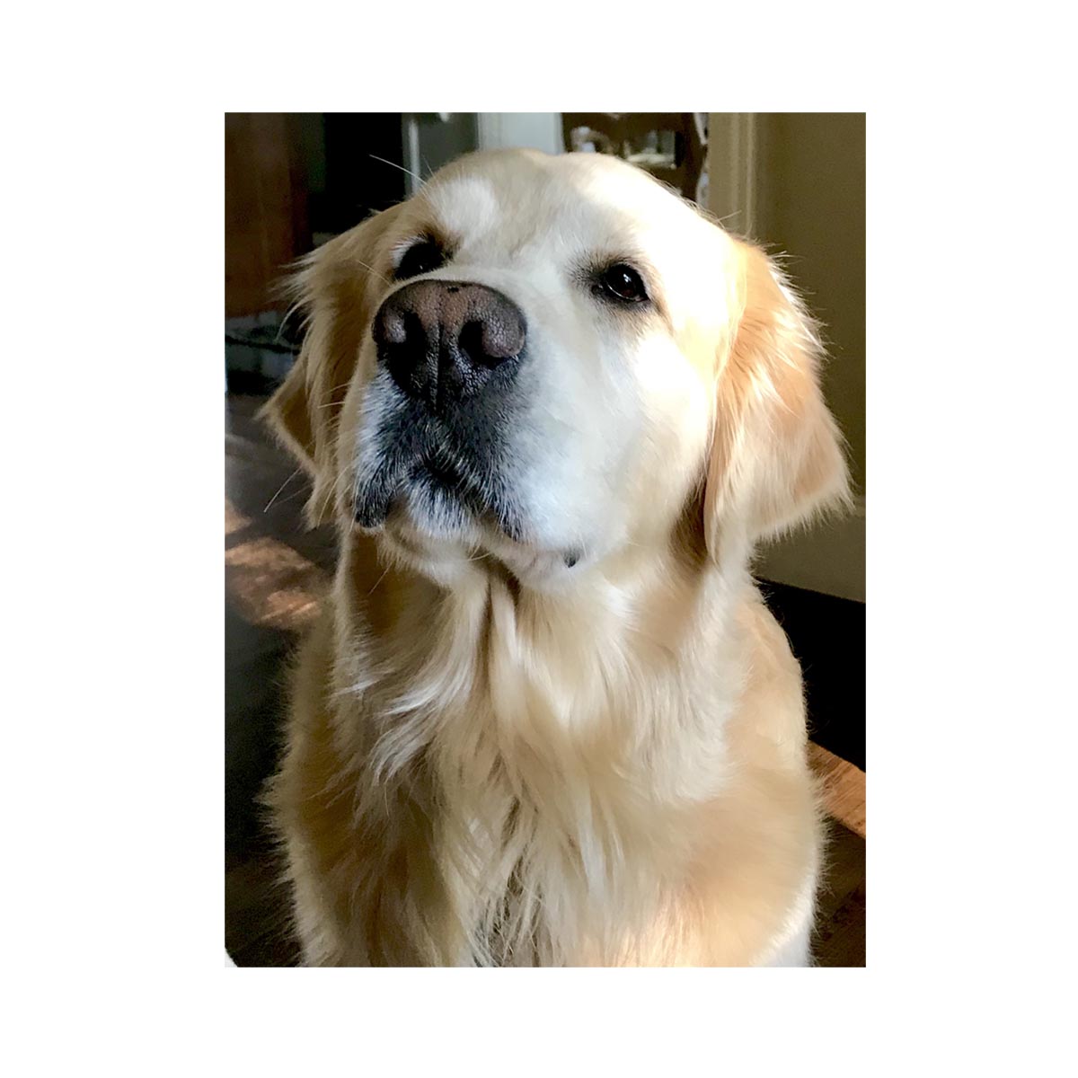 finley